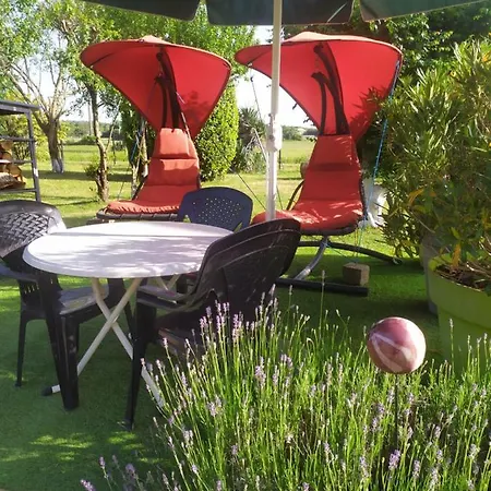 Bed & Breakfast Un Coin De Paradis Baugé