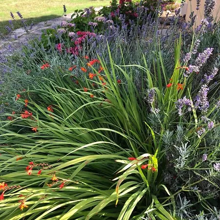 Un Coin De Paradis Baugé