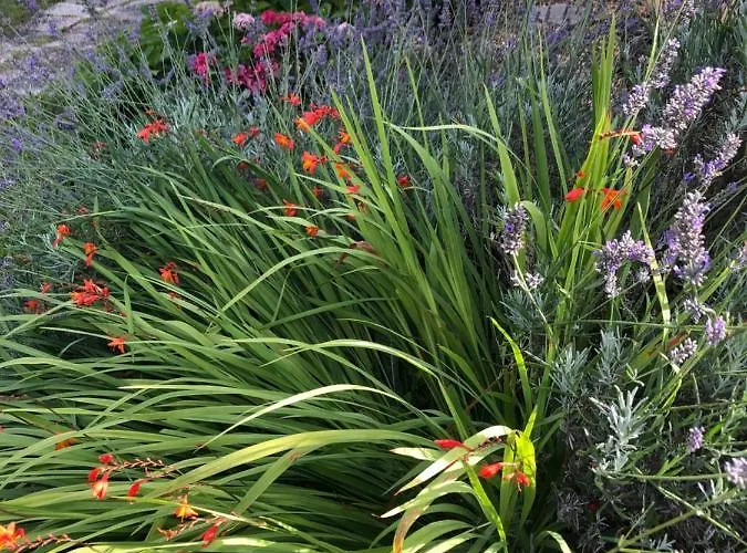 Un Coin De Paradis Bauge-en-Anjou